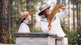 Кадр из фильма "Тайная жизнь пчел" - 2