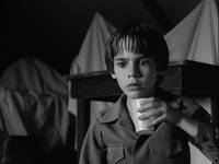 Кадр Франкенвини