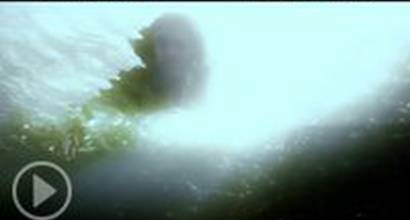 ТВ-ролик №4