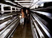 Кадр Последняя волна