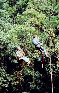 Кадр Знахарь