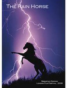 Лошадь дождя