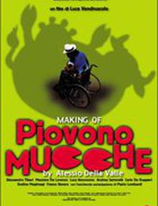 Making of «Piovono mucche»