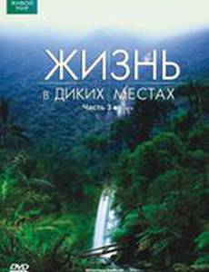 BBC: Жизнь в диких местах