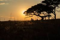 Кадр Путешествие Гектора в поисках счастья