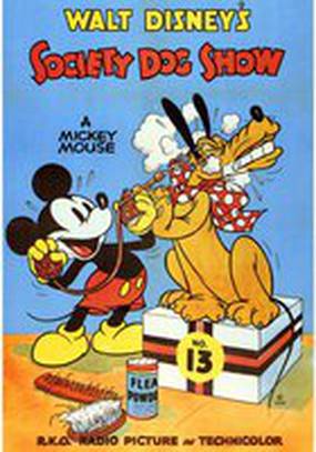 Выставка собак