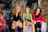 Кадр Биби – маленькая волшебница и тайна ночных птиц