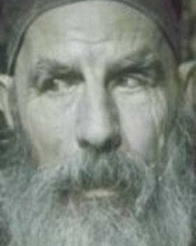 Мамед Алили фото