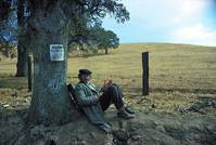 Кадр Пугало