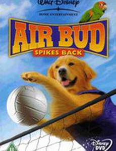 Король воздуха: Возвращение (видео)