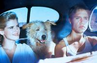 Кадр Дорога в ад