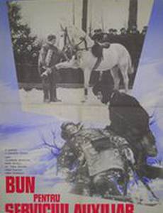 Годен к нестроевой