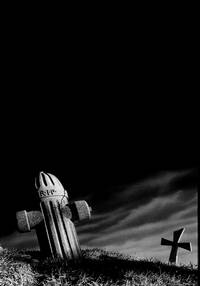 Постер Франкенвини