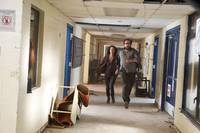 Кадр Революция