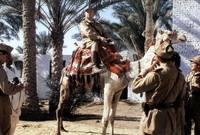 Кадр Безумец на войне