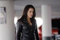 Кадр Биобаба