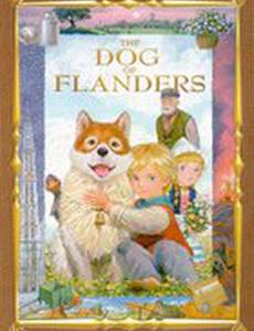 Собачье сердце