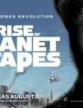 Постер из фильма "Восстание планеты обезьян" - 1