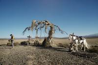 Кадр Неуловимый Люк 