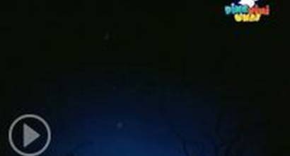 Мультфильм 