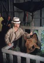 Ева Габор фото