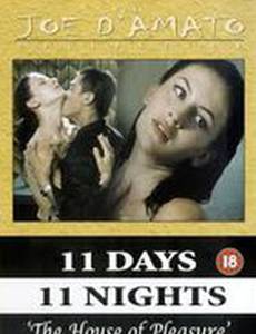 Дом удовольствия