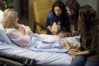 Кадр Милые обманщицы