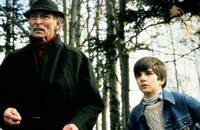 Кадр Зона скорости