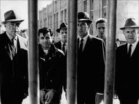 Кадр Хладнокровно