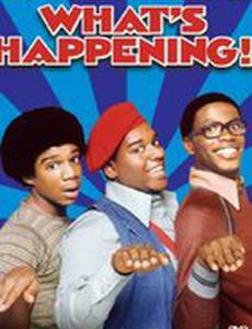 Что творится!!