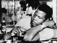 Кадр Изюминка на солнце