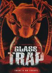 Стеклянный муравейник