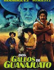 Dos gallos de Guanajuato