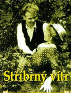Серебряный ветер