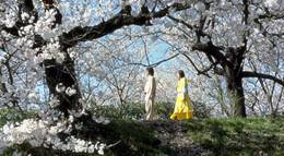 Кадр из фильма "Куклы" - 1