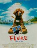 Постер из фильма "Флюк" - 1
