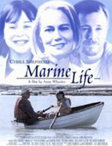 Жизнь в подводном мире