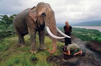 Кадр Честь  дракона