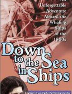 По морю на кораблях