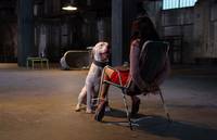 Кадр Наперекосяк