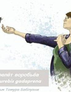 Перелет воробьев