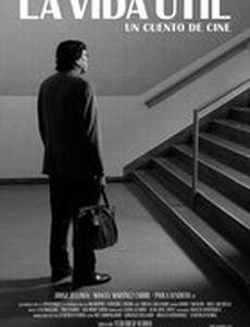 Срок годности