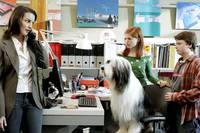 Кадр Лохматый папа