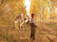 Кадр Семь мечей