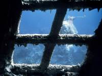 Кадр Всплеск