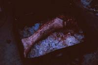 Кадр Колыбель кошмаров (видео)