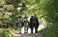 Кадр Мерлин