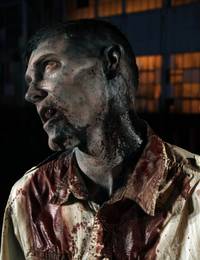 Кадр Ходячие мертвецы