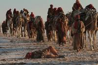 Кадр Черное золото