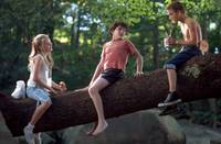 Кадр Сердца в Атлантиде